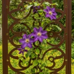 Wooden Lattice Trellis